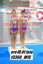 13368_M15-