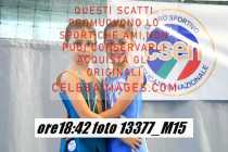 13377_M15-