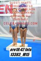 13383_M15-