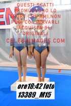 13389_M15-