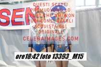 13393_M15-