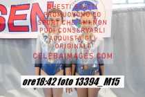 13394_M15-