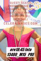 13480_M15-PRE