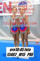 13482_M15-PRE