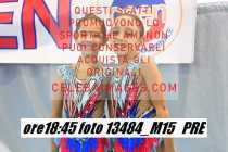 13484_M15-PRE