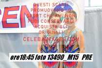 13490_M15-PRE