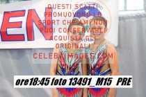 13491_M15-PRE