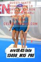 13498_M15-PRE