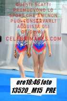 13520_M15-PRE