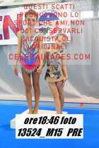 13524_M15-PRE