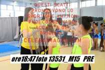 13531_M15-PRE