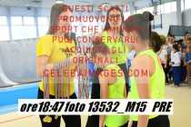 13532_M15-PRE