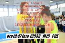 13533_M15-PRE