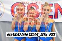 13551_M15-PRE
