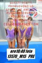 13570_M15-PRE