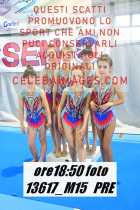 13617_M15-PRE