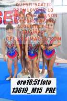 13619_M15-PRE