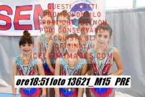 13621_M15-PRE
