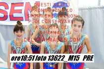 13622_M15-PRE