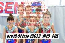 13623_M15-PRE