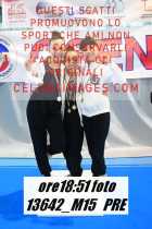 13642_M15-PRE