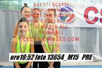13654_M15-PRE
