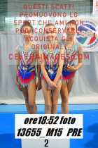 13655_M15-PRE