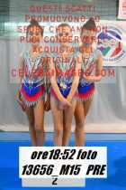 13656_M15-PRE