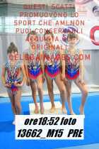 13662_M15-PRE