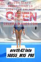14855_M15-PRE