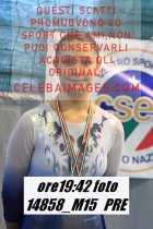 14858_M15-PRE