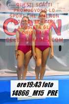 14866_M15-PRE