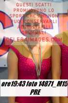 14871_M15-PRE