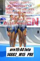 14882_M15-PRE
