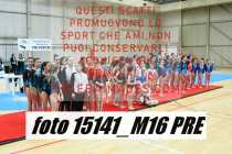 15141_M16-PRE