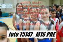 15147_M16-PRE