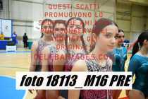 18113_M16-PRE