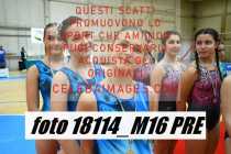 18114_M16-PRE