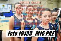 18133_M16-PRE