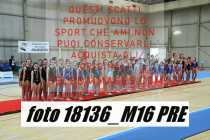 18136_M16-PRE