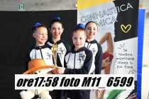 M11_6599