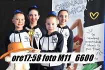 M11_6600