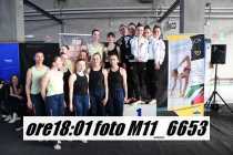 M11_6653
