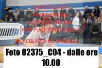 02375_C04-dalle-ore-10.00