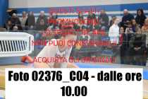 02376_C04-dalle-ore-10.00