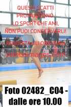 02482_C04-dalle-ore-10.00