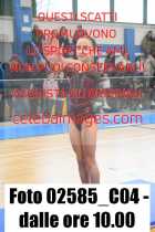 02585_C04-dalle-ore-10.00