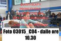 03015_C04-dalle-ore-10.30