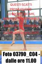 03790_C04-dalle-ore-11.00