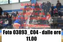 03893_C04-dalle-ore-11.00